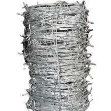 Professional Hot Dipped Galvanized Barbed Wire Fence